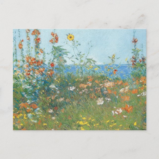 Hassams "Poppies, Isle of Shoals" - Postkarte (Vorderseite)