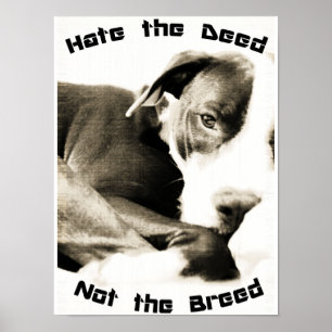 Hasse die Rasse, nicht die Tat Pitbull Poster Druc