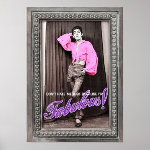 Hasse mich nicht, nur weil ich ein fabelhaftes [Po Poster