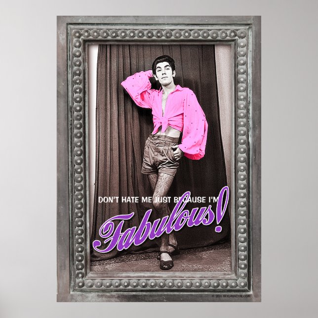 Hasse mich nicht, nur weil ich ein fabelhaftes [Po Poster (Vorne)