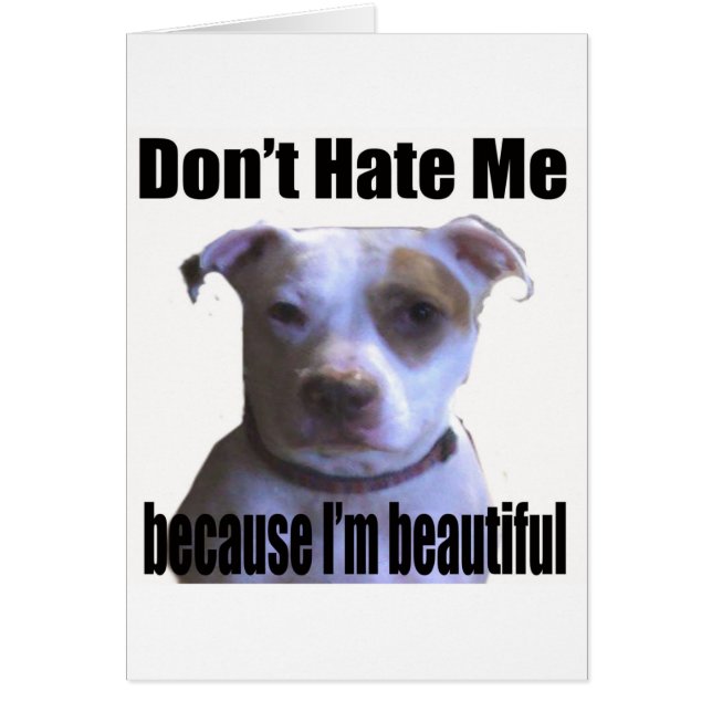 Hasse mich nicht, weil ich wunderschön Pit Bull bi (Vorne)