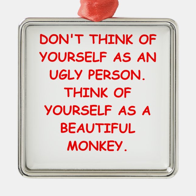 hässlich silbernes ornament (Vorne)