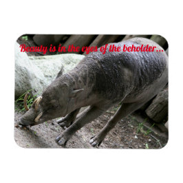 hässliche Tiere, Babirusa Magnet