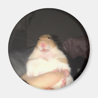Hässliches Hamster-Meme Magnet