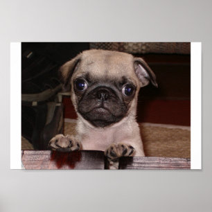 Hast du angerufen? poster