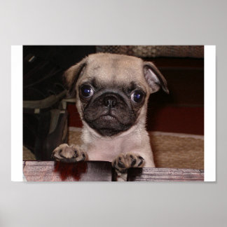 Hast du angerufen? poster