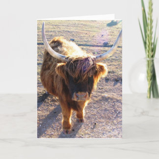 Hast du Bad Hair Day gesagt? Karte