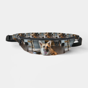Hast du dir etwas besorgt? bauchtasche
