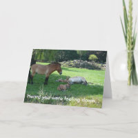 Hast du gehört, du seiest Gefühl...