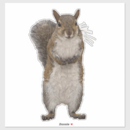 Hast du Nüsse? Aufkleber