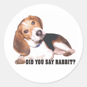 Hast du Rabbit gesagt? Beagle Stickers