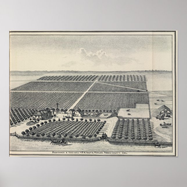 Hastie Vineyard, Kalifornien Poster (Vorne)