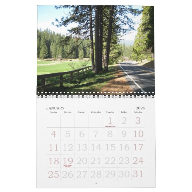 Hastingkalender 2011: Eine Zukunft ohne Schicksal Kalender (Jan 2026)