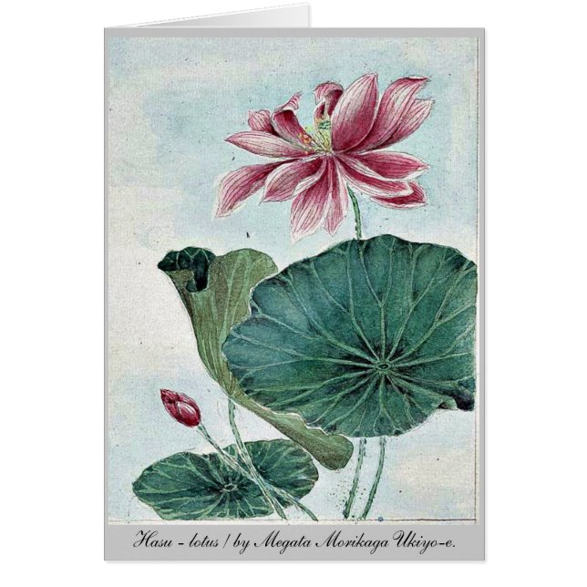 Hasu - Lotos/durch Megata Morikaga Ukiyo-e. (Vorne)