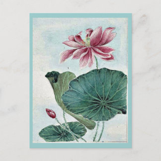 Hasu - lotus / von Megata Morikaga Ukiyo-e. Postkarte