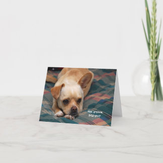 Hat dir jemand das gesagt? karte