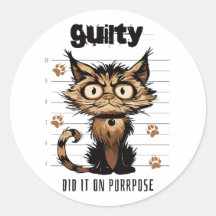 Hat es mit Absicht getan - lustige Katze