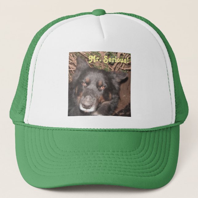 Hat Husky Collie Cross Truckerkappe (Vorderseite)