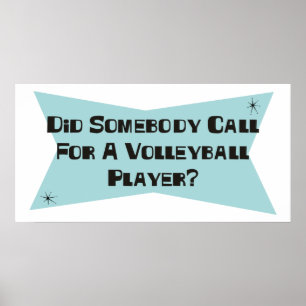 Hat jemand einen Volleyballspieler gefordert? Poster