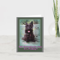 Hat jemand Freitag gesagt?