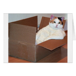 "Hat jemand meine Schattierungen gesehen?"