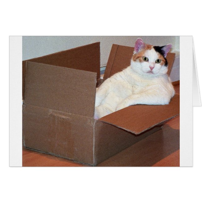 "Hat jemand meine Schattierungen gesehen?" (Vorderseite (Horizontal))