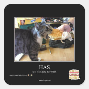 hat quadratischer aufkleber