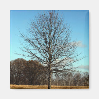 Hatchie Wildlife - Baum Magnet