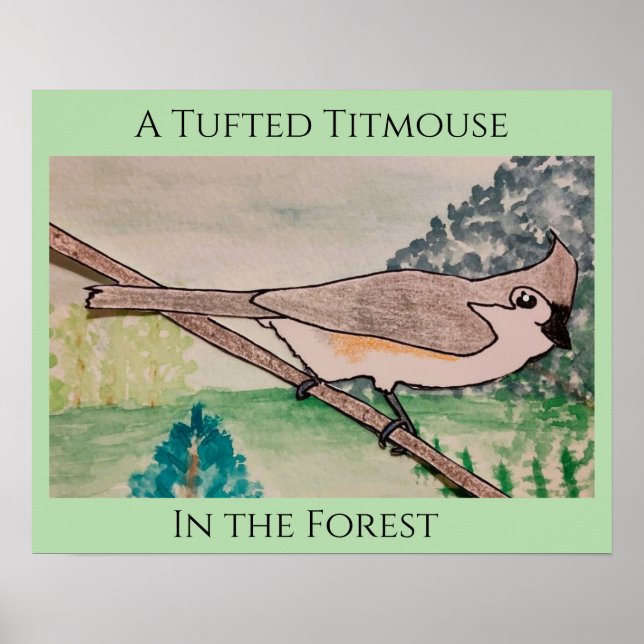 Haubenmeise im Wald Poster (Vorne)