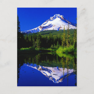 Haubenschnee Postkarte