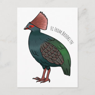 Haubenwachtel-Vogel-Cartoonillustration  Postkarte