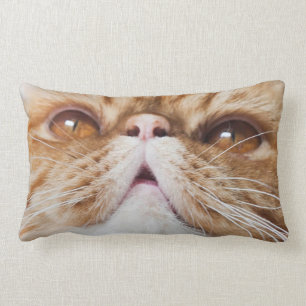 Hauchkissen Lendenkissen