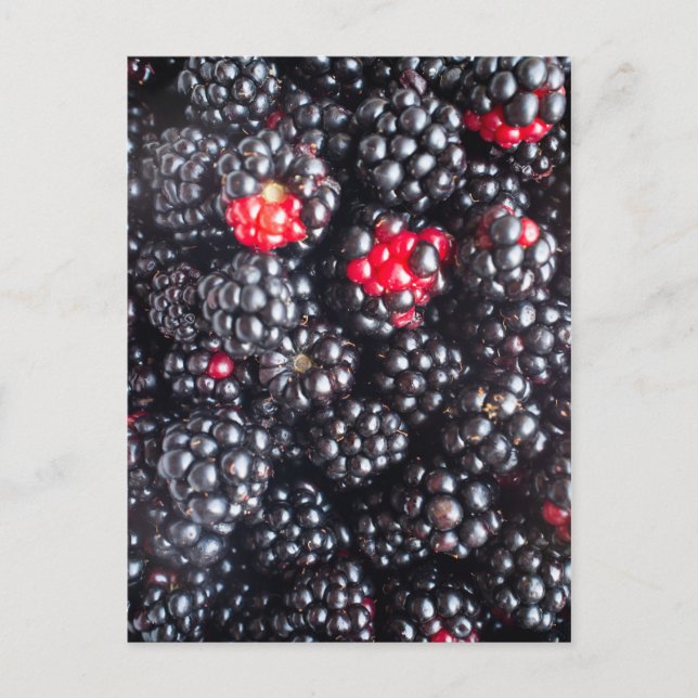 Haufen BlackBerry Postkarte (Vorderseite)