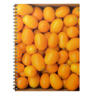 Haufen der orange japanischer Orangen im Notizblock