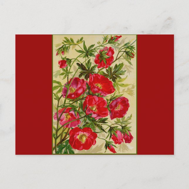 Haufen roter Blume Postkarte (Vorderseite)