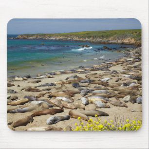 Haufen von See-Elefanten Mousepad
