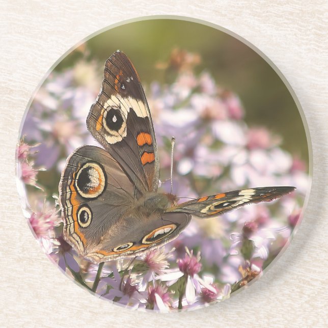Häufig Buckeye auf Pink Aster Getränkeuntersetzer (Vorne)