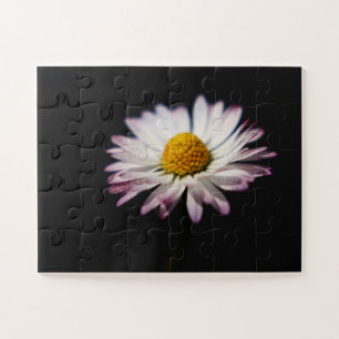 Häufig Daisy 11x14 30pc jpcn Puzzle