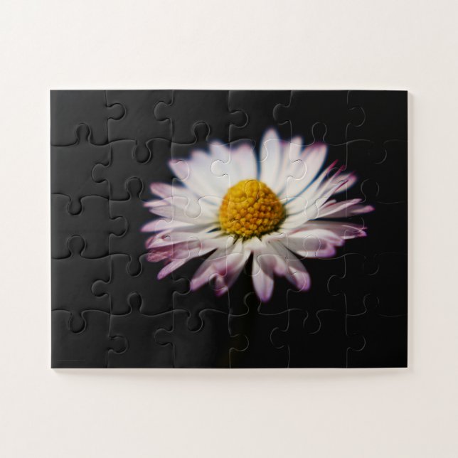 Häufig Daisy 11x14 30pc jpcn Puzzle (Horizontal)