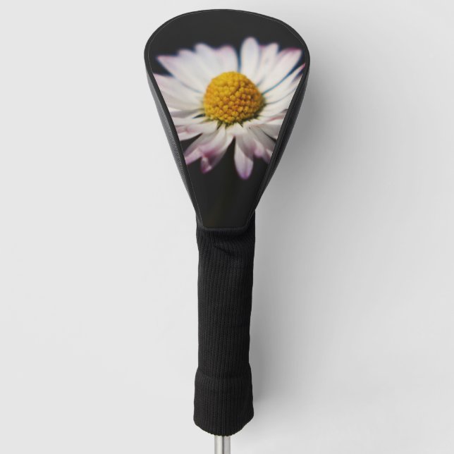 Häufig Daisy dccnm Golf Headcover (Vorderseite)