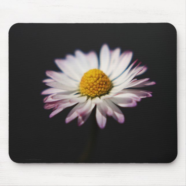 Häufig Daisy mpcnm Mousepad (Vorne)