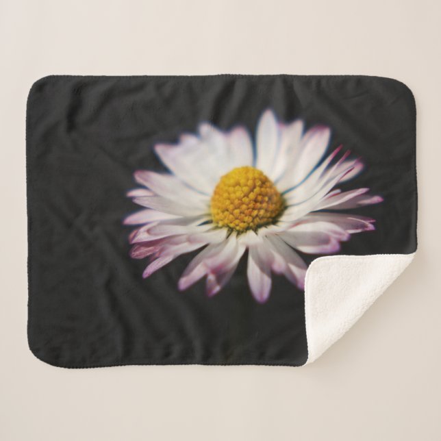 Häufig Daisy sbcnm Sherpadecke (Vorderseite (Horizontal))