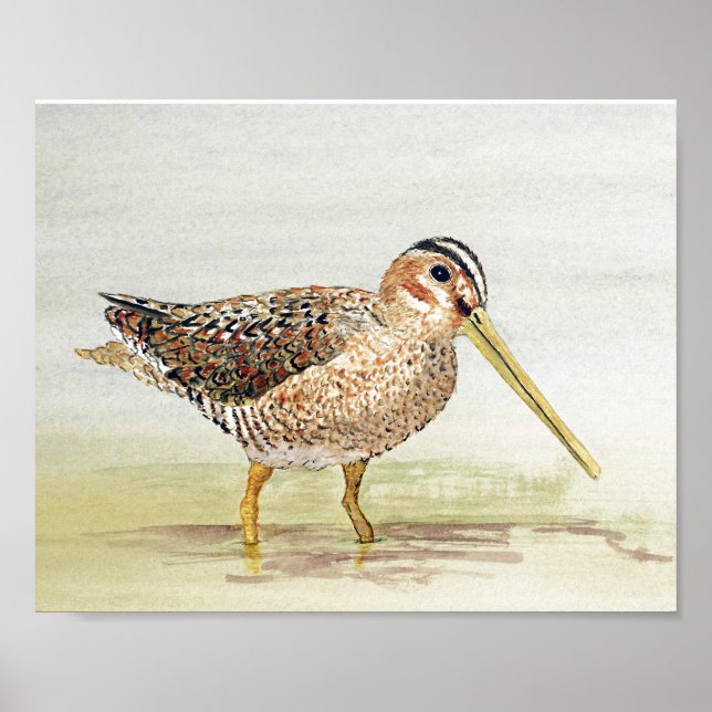 Häufig Poster (Vorne)