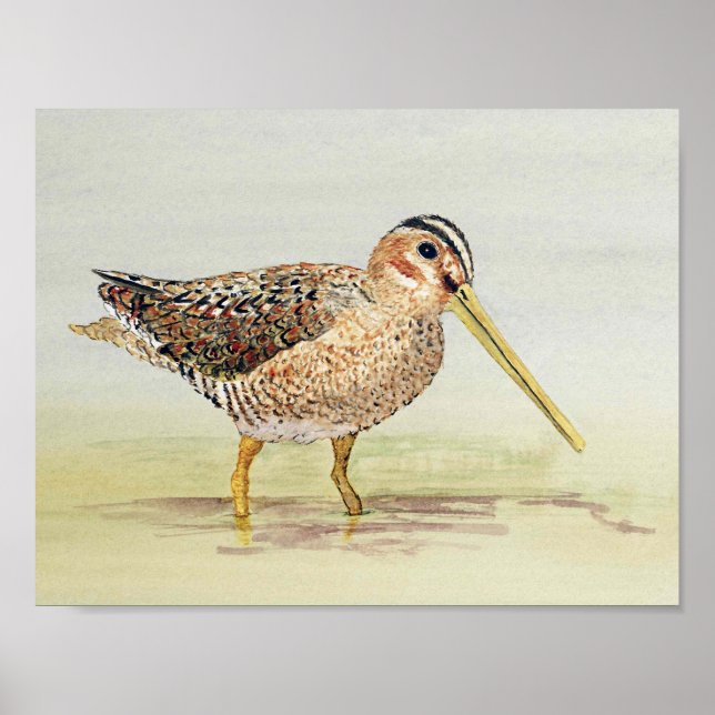 Häufig Poster (Vorne)