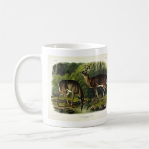 Häufig (Weißschwanz) Hirsche - Audubon-Quadrupeds Kaffeetasse