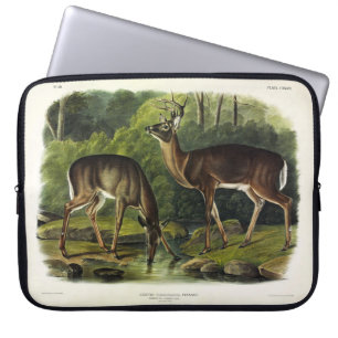 Häufig (Weißschwanz) Hirsche - Audubon-Quadrupeds Laptopschutzhülle