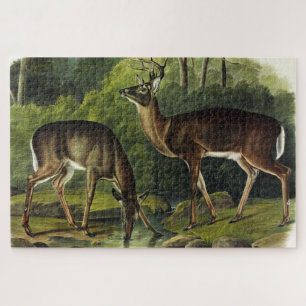 Häufig (Weißschwanz) Hirsche - Audubon-Quadrupeds Puzzle