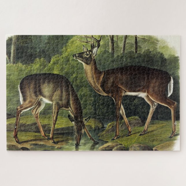 Häufig (Weißschwanz) Hirsche - Audubon-Quadrupeds Puzzle (Horizontal)
