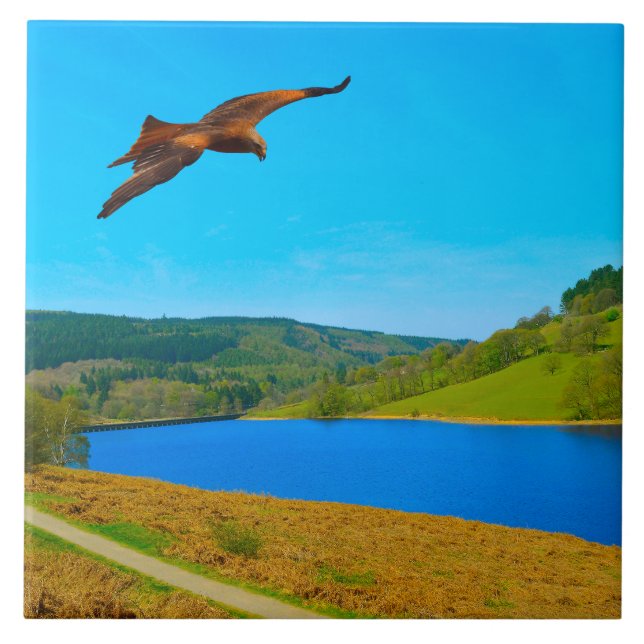 Häufiger Buzzard über das Ladybower-Reservoir Fliese (Vorderseite)