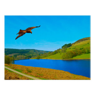 Häufiger Buzzard über das Ladybower-Reservoir Poster